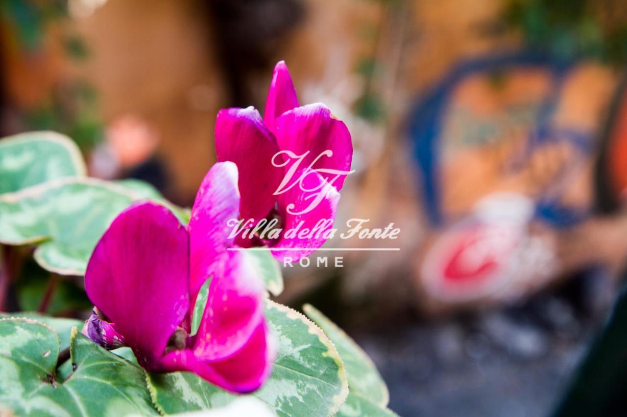 Villa Della Fonte Roma Dış mekan fotoğraf